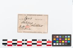 Etikett zu Bronzepaukenfibel (NHMW-PRAE-026418)